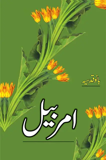 amarbailby bano qudsia pdf