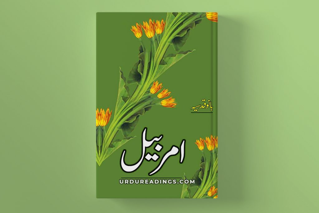 amarbail by bano qudsia download